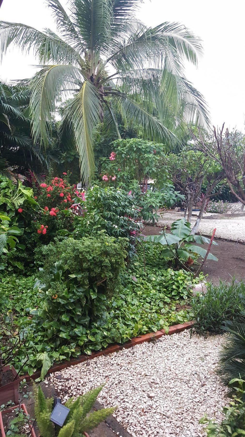 Hotel La Arena Liberia Buitenkant foto