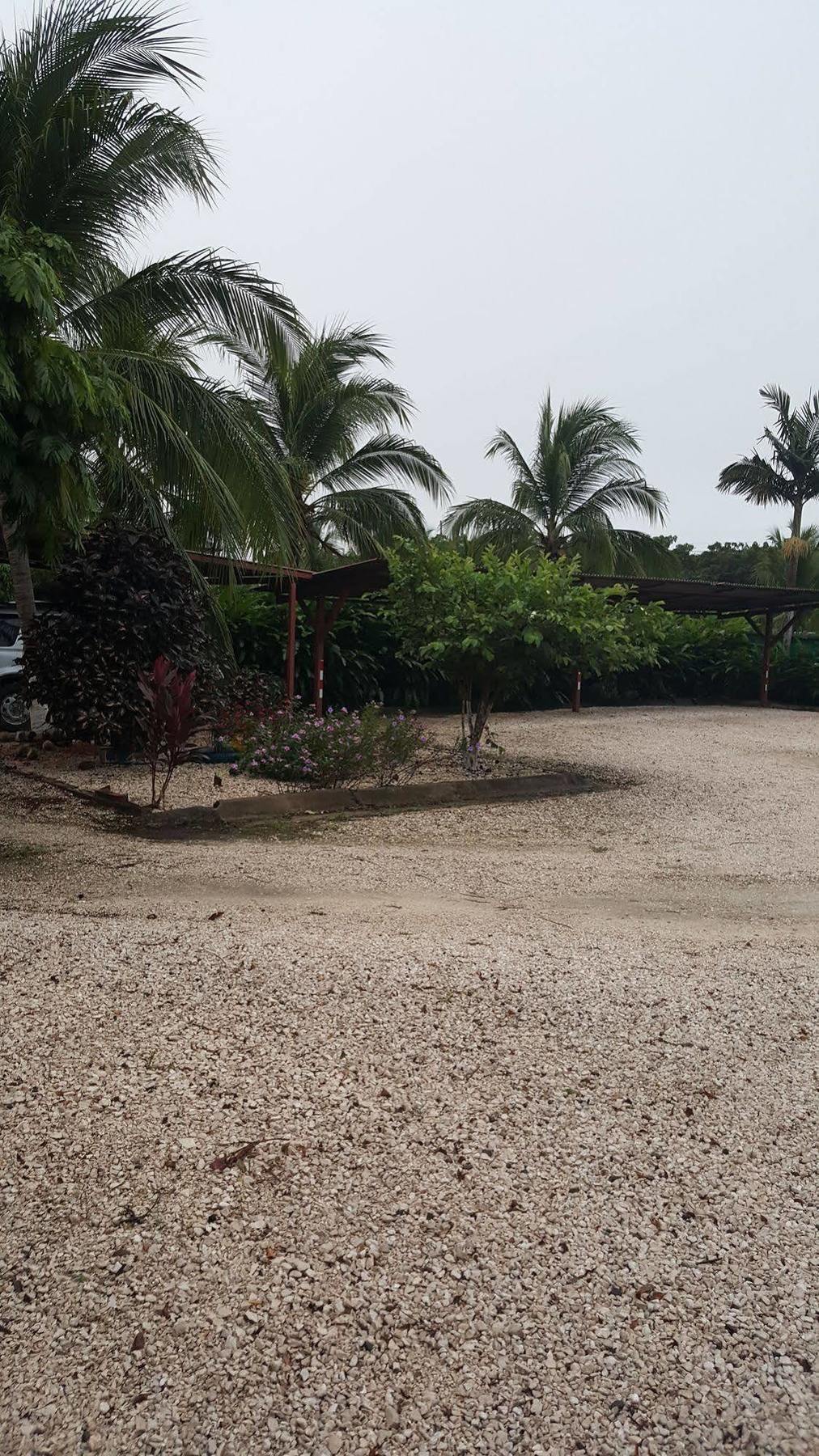 Hotel La Arena Liberia Buitenkant foto
