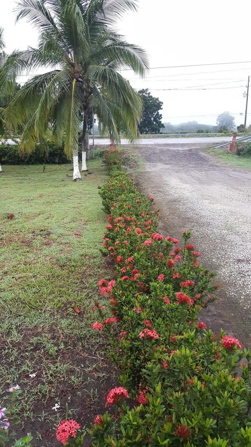 Hotel La Arena Liberia Buitenkant foto